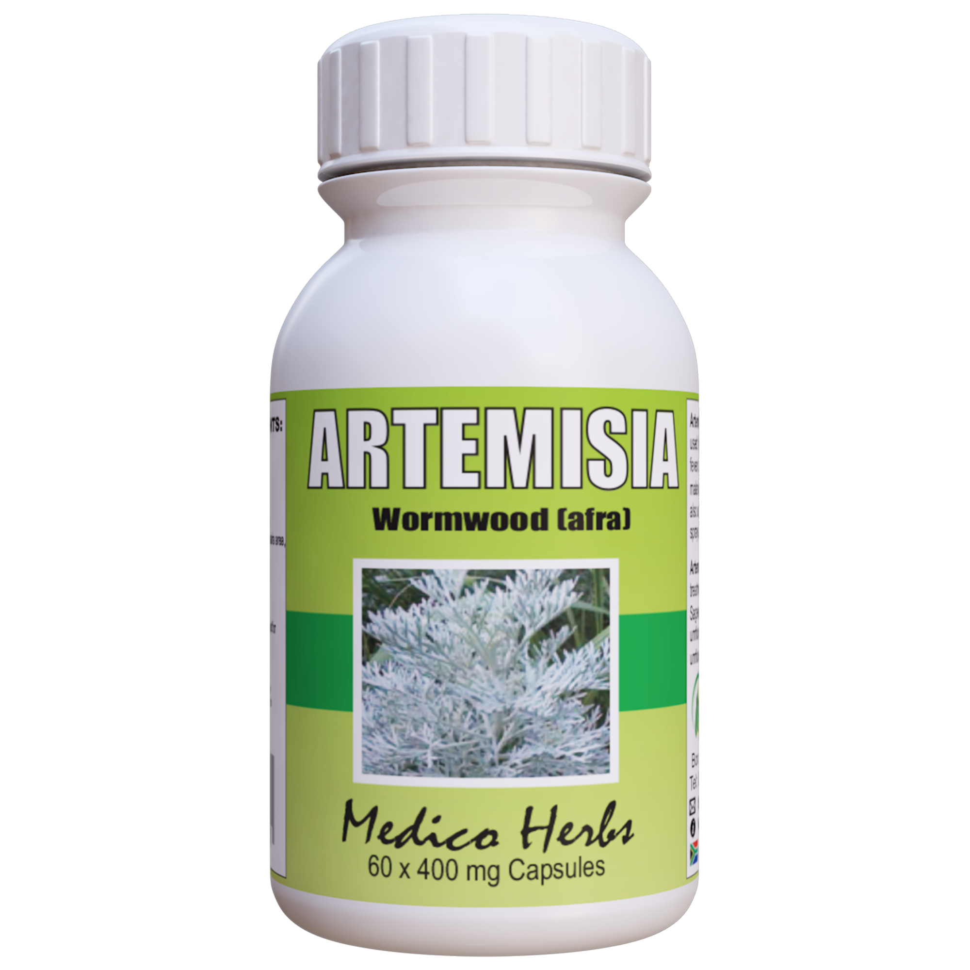 Artemisia Afra or African Wormwood 2x Bottles of 60 Capsules & get 1x FREE - Effective for Colds, Flu & Fevers - Can help with Diabetes