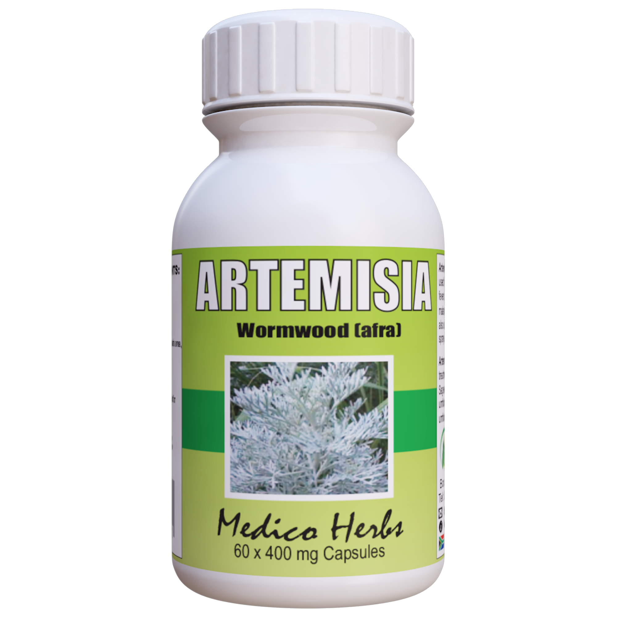 Artemisia Afra African Wormwood 2× 60x400mg Capsules =120 capsules