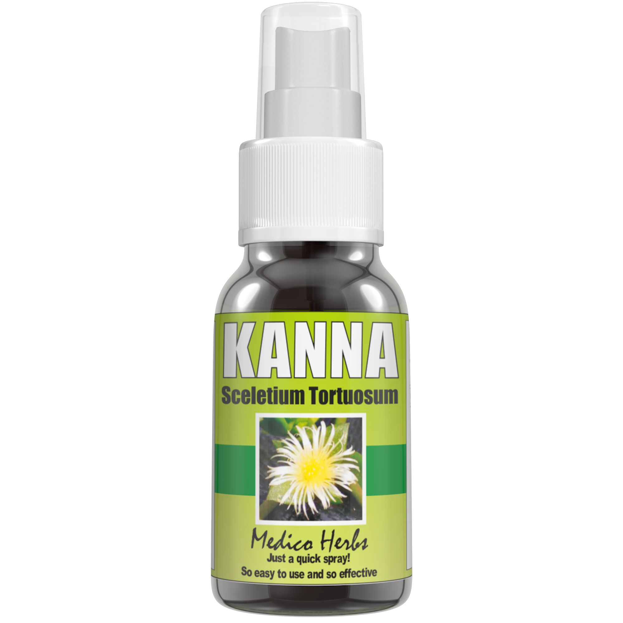 Kanna (Sceletium Tortuosum) - for mood support - Herbal Spray – 50ml