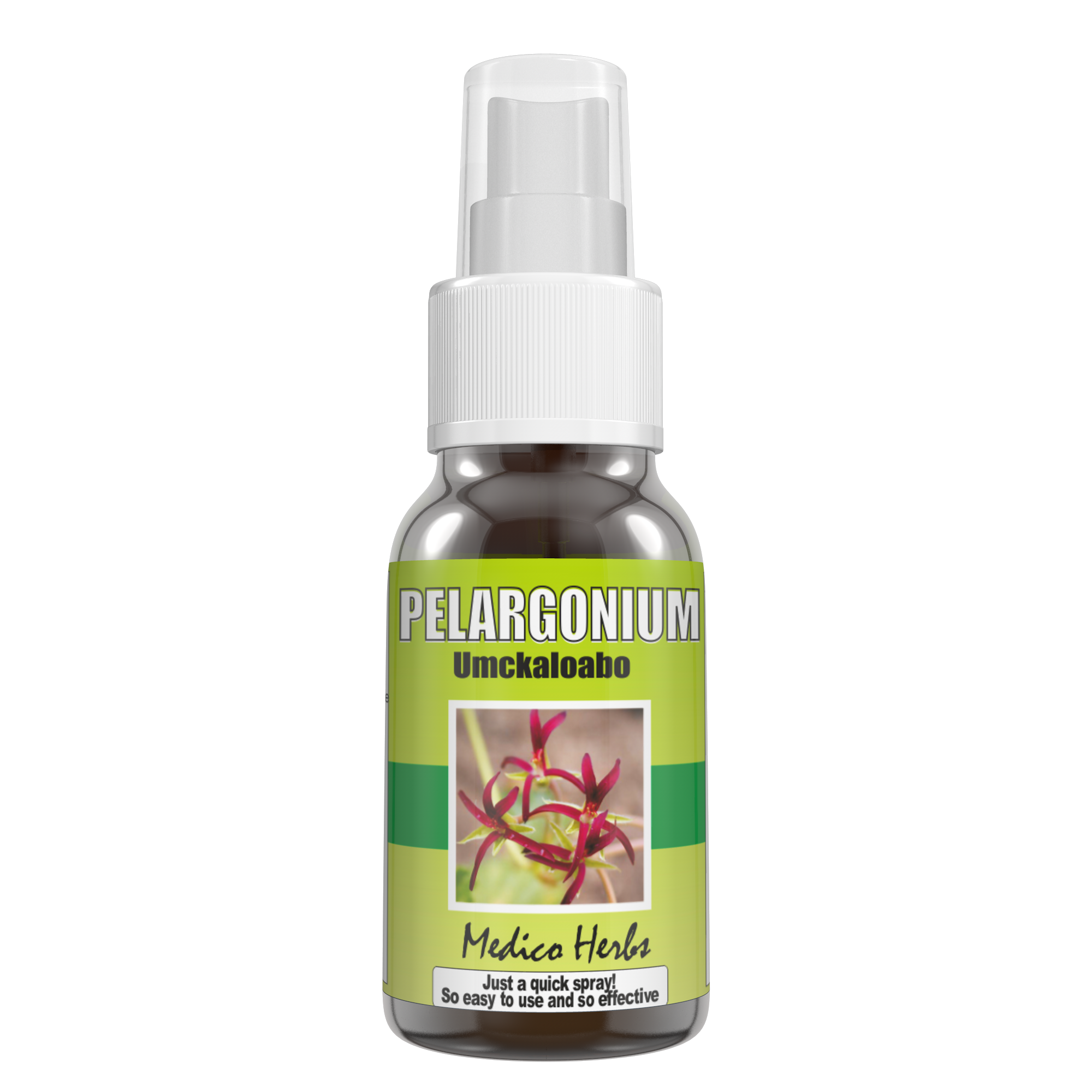 Pelargonium Spray (50ml) for upper respiratory, chest & immune system support