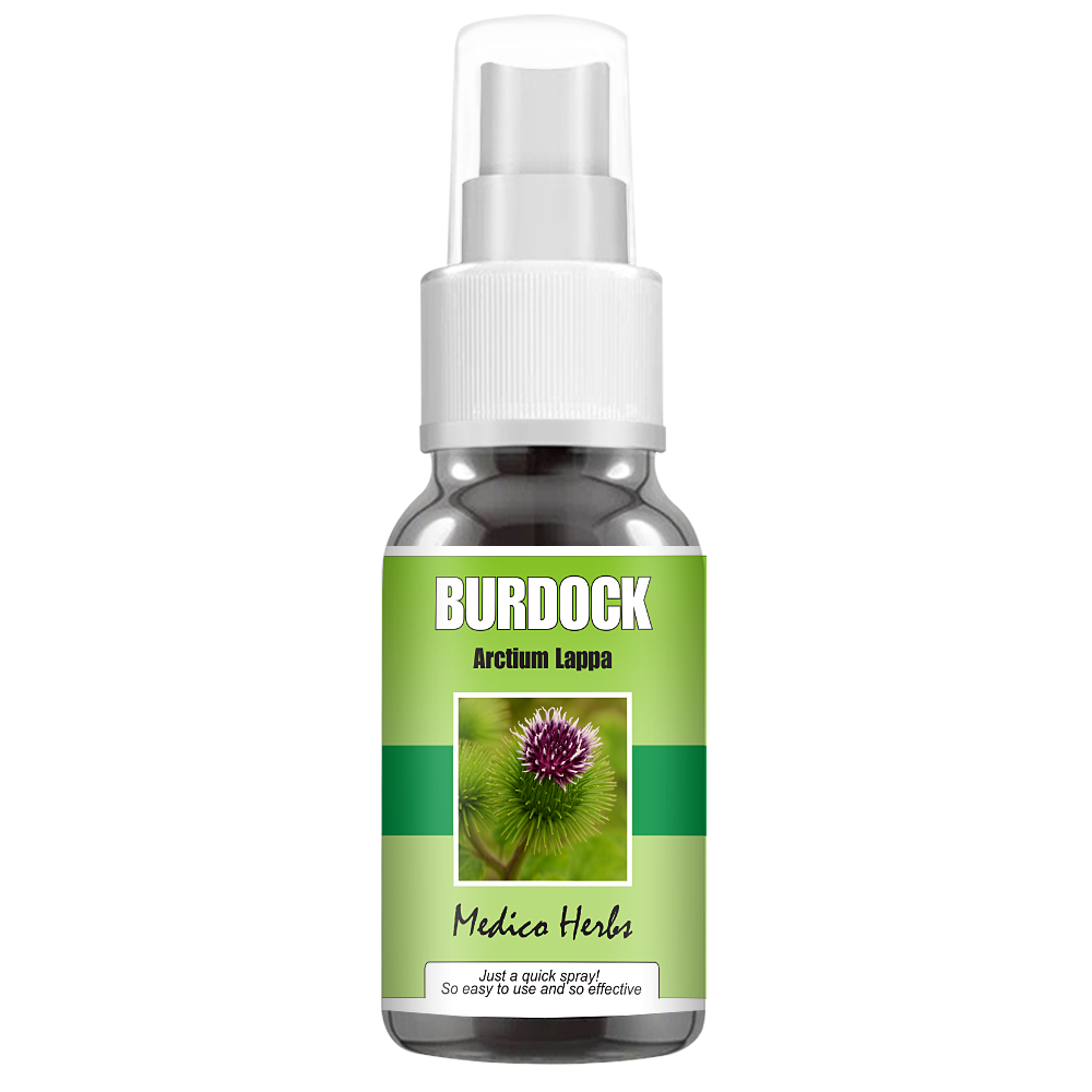 Burdock Root Tincture 50ml (Arctium lappa) x 2 bot