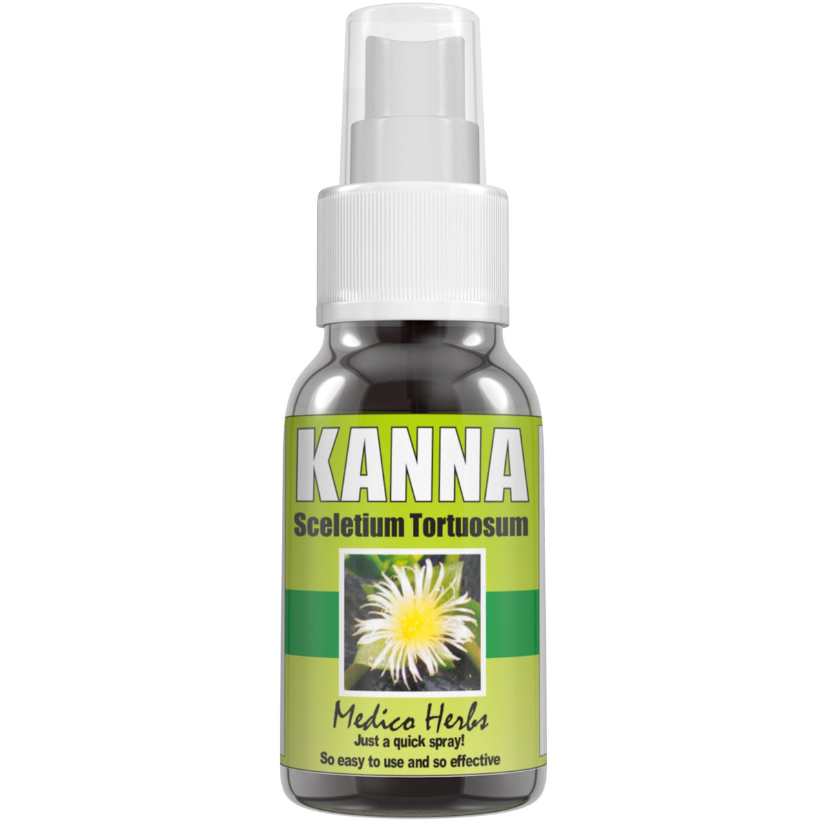 Kanna (Sceletium Tortuosum) - for Mood support - 100% Natural 50ml spray